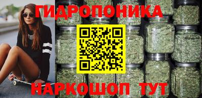 прущие грибы Вышний Волочёк