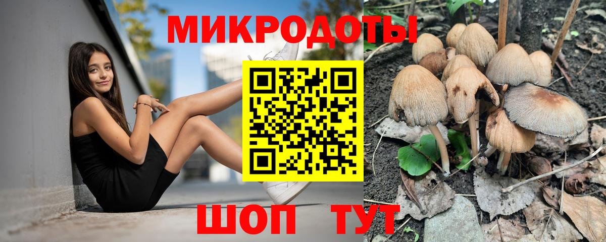 Бердск  магазин  наркотиков  Вход с VPN  Галлюциногенные грибы прущие грибы 